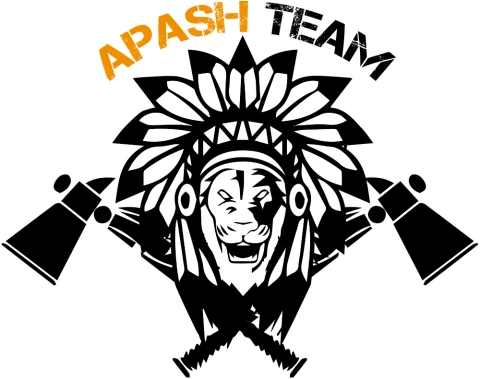 Emblème Apash Team : tête de lion à coiffe de plumes et haches croisées